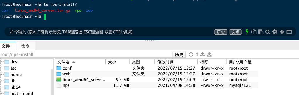 Nps实现内网穿透，电脑免费变云服务器